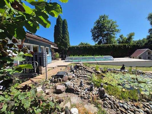 Garten 07 mit Fischteich und Swimmingpool 01