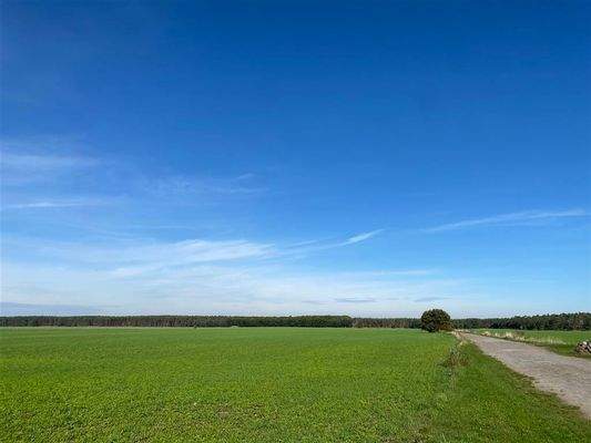 Felder hinter dem Haus