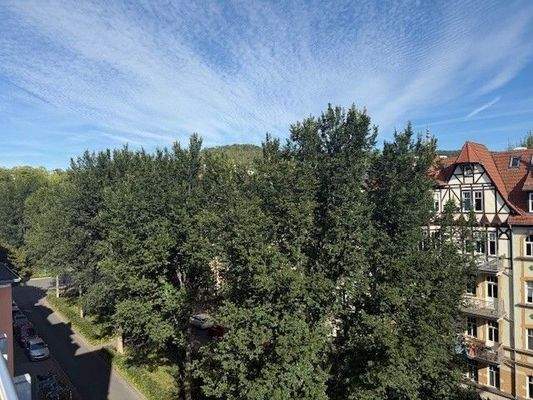 Blick Käthe Kollwitz