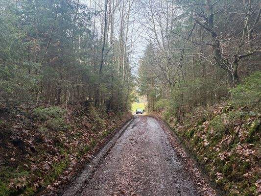 2026-02-12 13.47.02.jpg