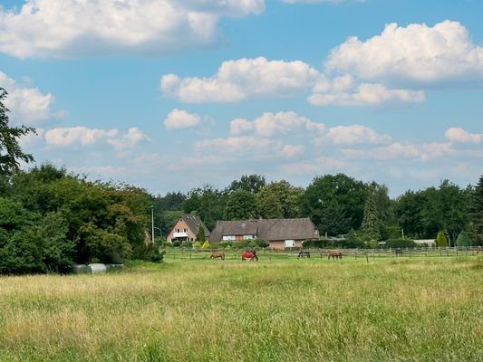 Blick vom Grundstück