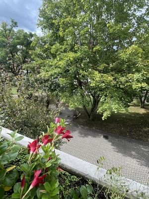 Innenansicht 1