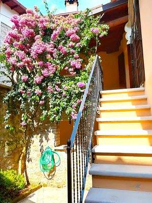 Innenhof mit Aussentreppe.jpg