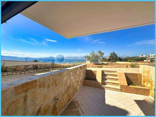 496356e141f74ec08b58f38e3910d8e6-original