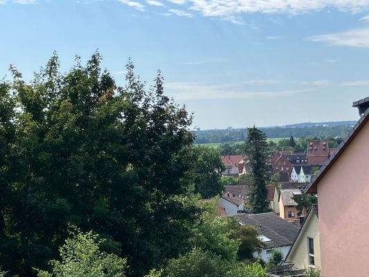 Blick in den Wiesengrund