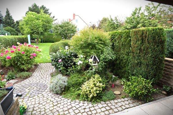 Blick in den Garten.JPG