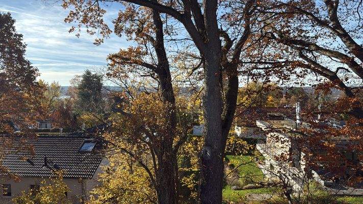 in schönster Nachbarschaft