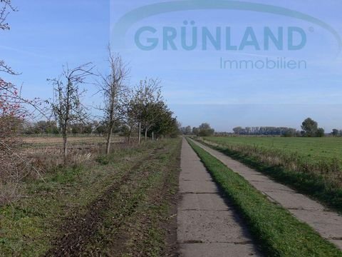 Brunne Bauernhöfe, Landwirtschaft, Brunne Forstwirtschaft