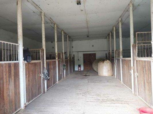 WhatsApp Bild 2025-10-07 um 14.54.35_e2245fd4