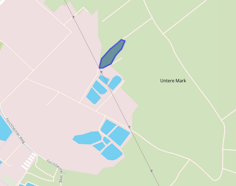 Hallerndorf Bauernhöfe, Landwirtschaft, Hallerndorf Forstwirtschaft