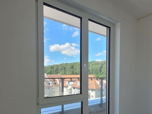 Wohnzimmer-Ausblick zum Stadtwald