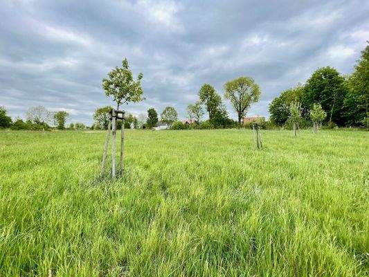 Zukünftige Bebauungsfläche