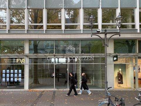 Köln Ladenlokale, Ladenflächen 