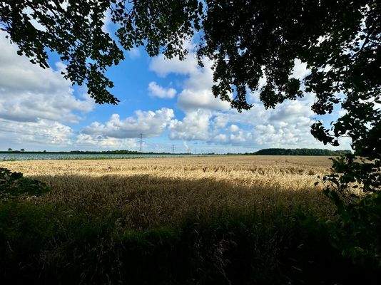 Ihr Ausblick aus dem Garten