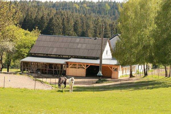 Offenstall mit Paddock