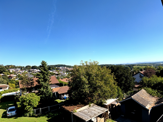 Whg. 1, Blick von Dachterrasse, 2.OG.png