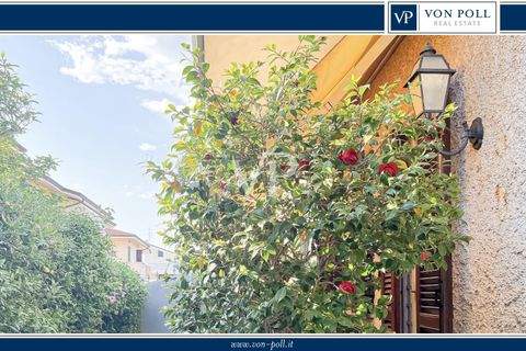 Viareggio Torre del Lago Häuser, Viareggio Torre del Lago Haus kaufen