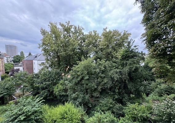 Blick vom Balkon ins Grüne