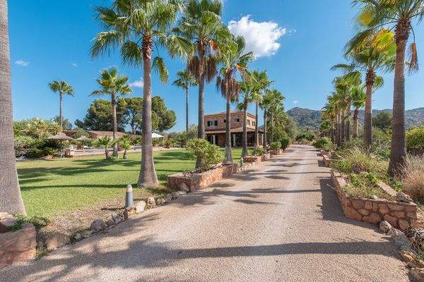 Palmenallee zur Finca