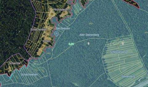 Schlaitdorf Bauernhöfe, Landwirtschaft, Schlaitdorf Forstwirtschaft