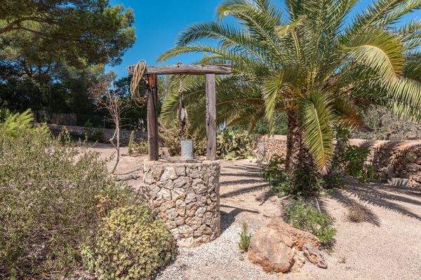 Attraktive Gartengestaltung