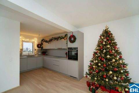 Wiener Neustadt Häuser, Wiener Neustadt Haus mieten 