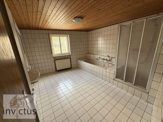 EG großzügiges Badezimmer