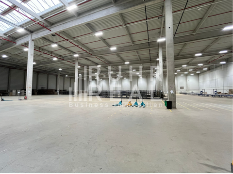 Nettetal Halle, Nettetal Hallenfläche