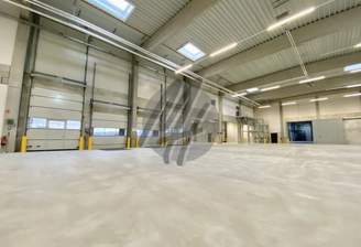 INFOS UNTER: 06171-586000