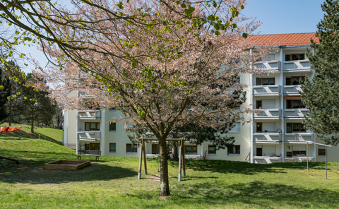 Eisenach Wohnungen, Eisenach Wohnung mieten