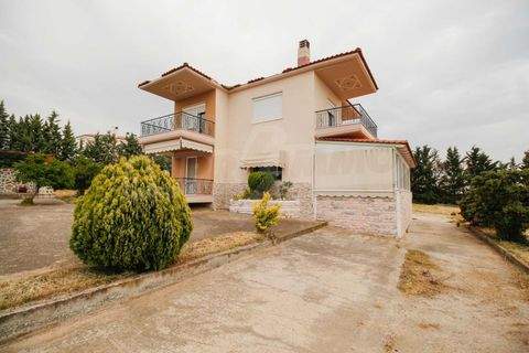 Nea Triglia Häuser, Nea Triglia Haus kaufen