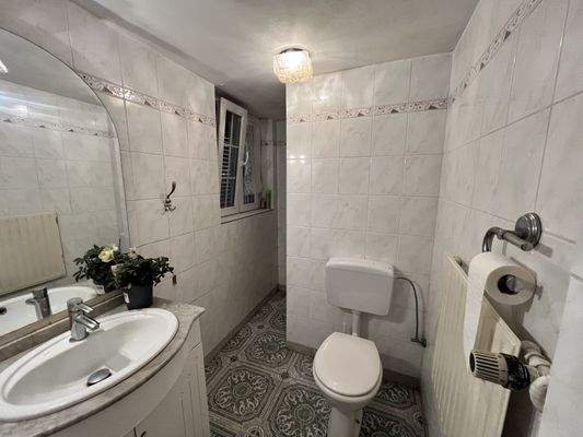 Gäste WC mit Dusche