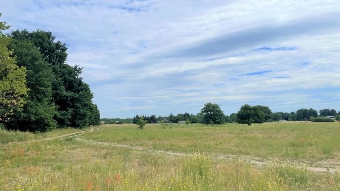 Landschaftsschutzgebiet als Nachbar