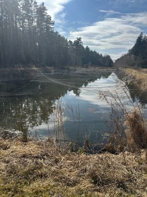 Fischweiher