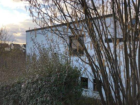 RESERVIERT bis Mitte Januar