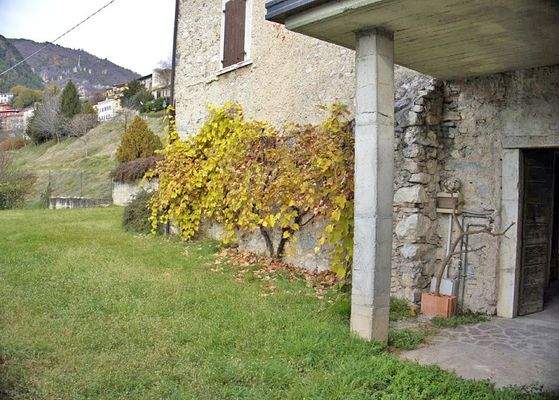 Ausgang zum offenen Garten