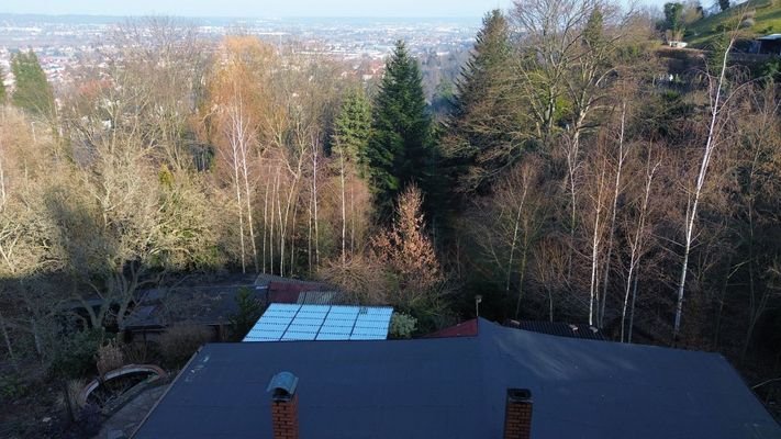 Talblick