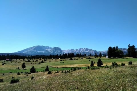 Zabljak Grundstücke, Zabljak Grundstück kaufen