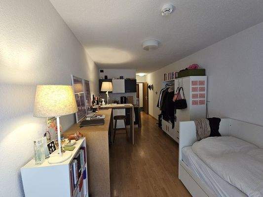 Wohn-Schlaf-Kochbereich (2)