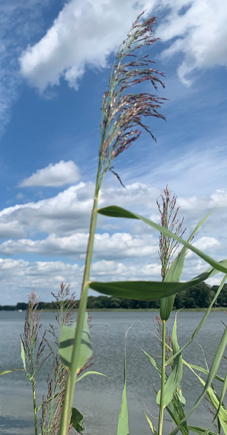 Neuruppin Wohnungen, Neuruppin Wohnung kaufen