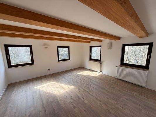 Raum Altbau2