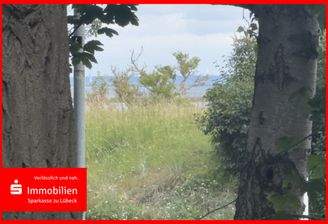 In erster Reihe zur Ostsee