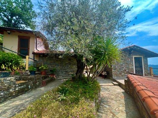 AP915_23 TERRA ITALIA IMMOBILIEN_LIGURIEN_APRICALE