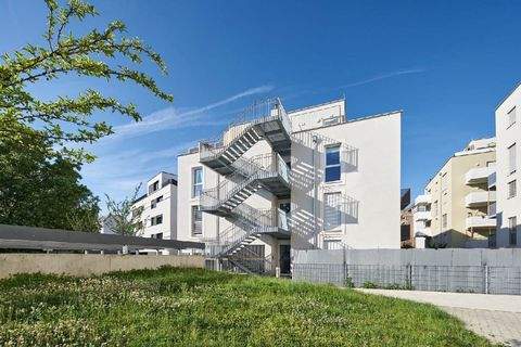 Wien Wohnungen, Wien Wohnung mieten