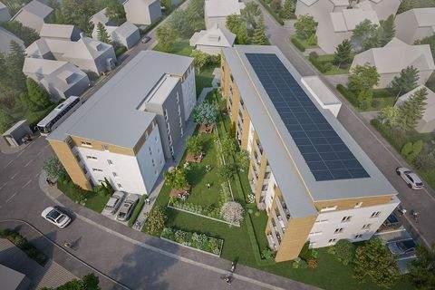 Volkach Wohnungen, Volkach Wohnung kaufen