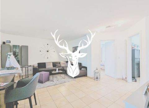 Mietwohnung in Waldshut-Tiengen, Wohnung mieten