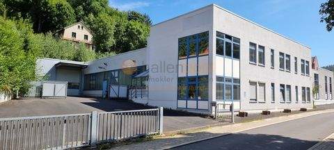 Ruhla Halle, Ruhla Hallenfläche