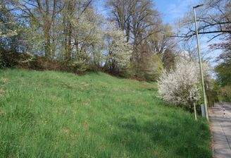 Bild1