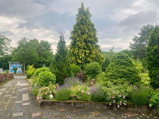 Einfahrt und Garten nach Norden