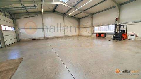 Wiesentheid Halle, Wiesentheid Hallenfläche